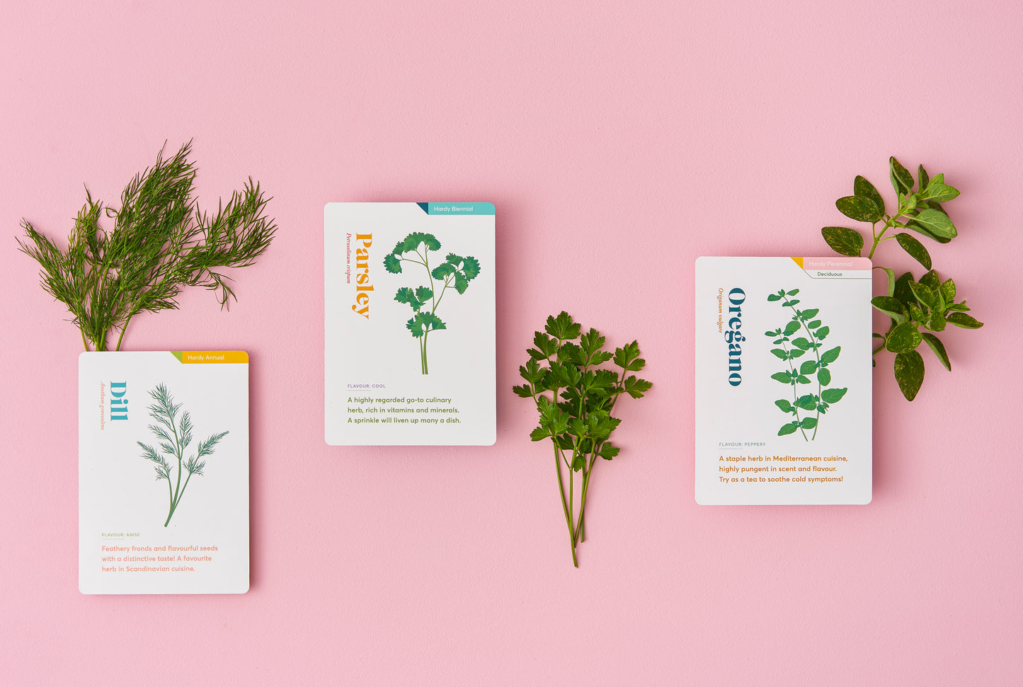 Another Studio | Herb Care Cards