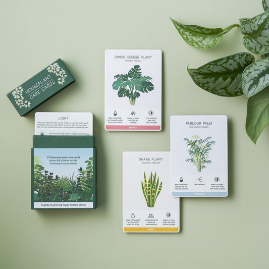 Another Studio | Houseplant Care Cards